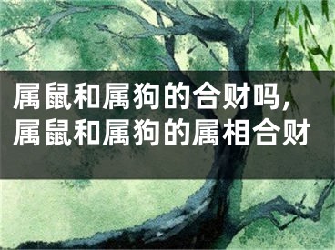 属鼠和属狗的合财吗,属鼠和属狗的属相合财