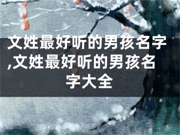 文姓最好听的男孩名字,文姓最好听的男孩名字大全