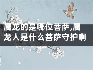 属龙的是哪位菩萨,属龙人是什么菩萨守护啊