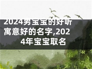 2024男宝宝的好听寓意好的名字,2024年宝宝取名