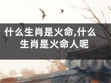 什么生肖是火命,什么生肖是火命人呢