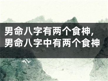 男命八字有两个食神,男命八字中有两个食神