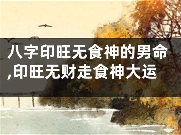 八字印旺无食神的男命,印旺无财走食神大运