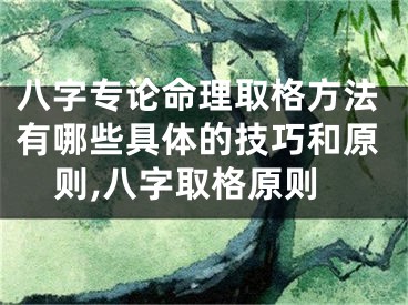 八字专论命理取格方法有哪些具体的技巧和原则,八字取格原则