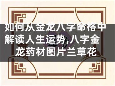 如何从金龙八字命格中解读人生运势,八字金龙药材图片兰草花