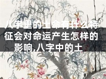 八字里的土命有什么特征会对命运产生怎样的影响,八字中的土