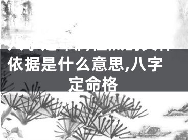 八字定命属性点的具体依据是什么意思,八字定命格