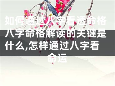 如何通过八字看透命格八字命格解读的关键是什么,怎样通过八字看命运