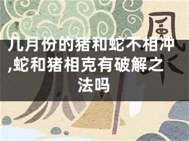几月份的猪和蛇不相冲,蛇和猪相克有破解之法吗