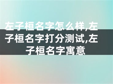 左子桓名字怎么样,左子桓名字打分测试,左子桓名字寓意