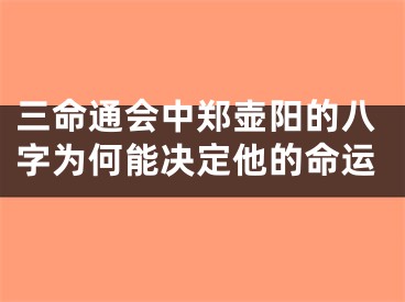 三命通会中郑壶阳的八字为何能决定他的命运