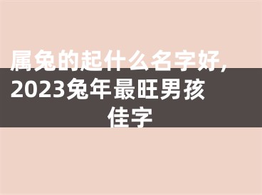 属兔的起什么名字好,2023兔年最旺男孩佳字