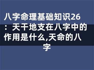 八字命理基础知识26：天干地支在八字中的作用是什么,天命的八字