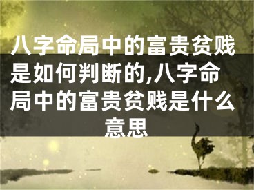 八字命局中的富贵贫贱是如何判断的,八字命局中的富贵贫贱是什么意思