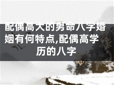 配偶高大的男命八字婚姻有何特点,配偶高学历的八字