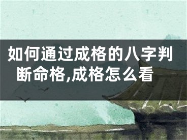 如何通过成格的八字判断命格,成格怎么看