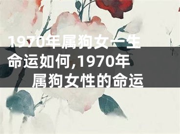 1970年属狗女一生命运如何,1970年属狗女性的命运