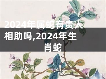 2024年属蛇有贵人相助吗,2024年生肖蛇
