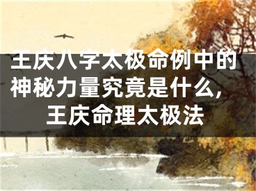 王庆八字太极命例中的神秘力量究竟是什么,王庆命理太极法