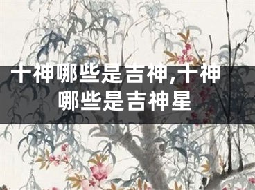 十神哪些是吉神,十神哪些是吉神星