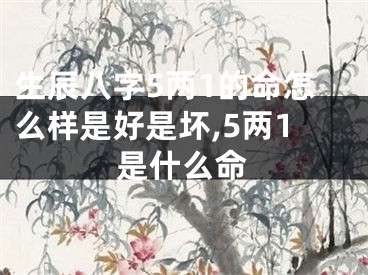 生辰八字5两1的命怎么样是好是坏,5两1是什么命