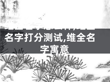 维全名字怎么样,维全名字打分测试,维全名字寓意