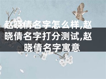 赵晓倩名字怎么样,赵晓倩名字打分测试,赵晓倩名字寓意