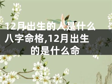 12月出生的人是什么八字命格,12月出生的是什么命