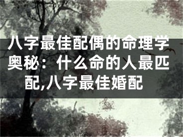 八字最佳配偶的命理学奥秘：什么命的人最匹配,八字最佳婚配