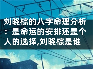 刘晓棕的八字命理分析：是命运的安排还是个人的选择,刘晓棕是谁