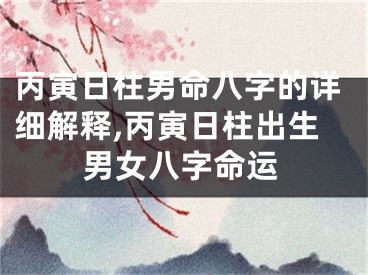 丙寅日柱男命八字的详细解释,丙寅日柱出生男女八字命运