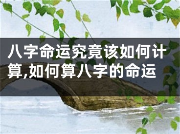 八字命运究竟该如何计算,如何算八字的命运