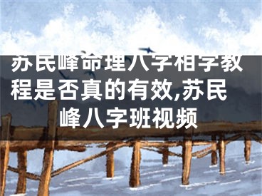 苏民峰命理八字相学教程是否真的有效,苏民峰八字班视频