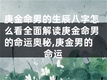 庚金命男的生辰八字怎么看全面解读庚金命男的命运奥秘,庚金男的命运