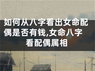 如何从八字看出女命配偶是否有钱,女命八字看配偶属相