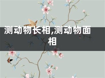 测动物长相,测动物面相