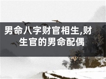 男命八字财官相生,财生官的男命配偶