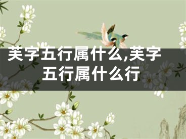 芙字五行属什么,芙字五行属什么行