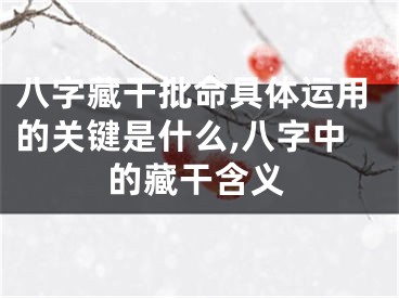 八字藏干批命具体运用的关键是什么,八字中的藏干含义