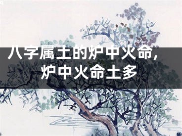 八字属土的炉中火命,炉中火命土多