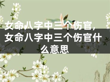 女命八字中三个伤官,女命八字中三个伤官什么意思
