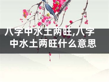 八字中水土两旺,八字中水土两旺什么意思