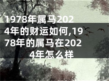 1978年属马2024年的财运如何,1978年的属马在2024年怎么样