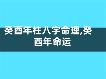 癸酉年柱八字命理,癸酉年命运