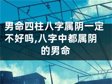 男命四柱八字属阴一定不好吗,八字中都属阴的男命