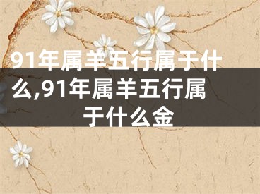 91年属羊五行属于什么,91年属羊五行属于什么金