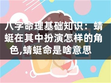 八字命理基础知识：蜻蜓在其中扮演怎样的角色,蜻蜓命是啥意思