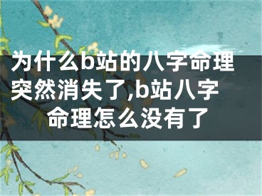 为什么b站的八字命理突然消失了,b站八字命理怎么没有了