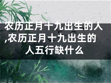 农历正月十九出生的人,农历正月十九出生的人五行缺什么