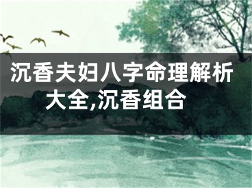 沉香夫妇八字命理解析大全,沉香组合